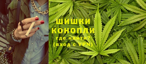 шишки Алзамай