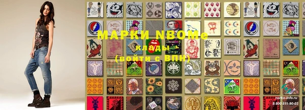шишки Алзамай