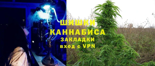 шишки Алзамай